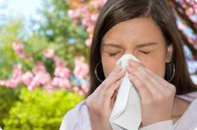 Кашель, заложенность носа, температура и слабость – это симптомы аллергии на пыльцу