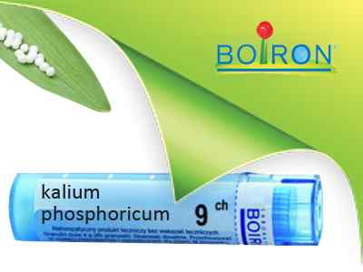 Калиум фосфорикум – прекрасное средство для головных болей студентов